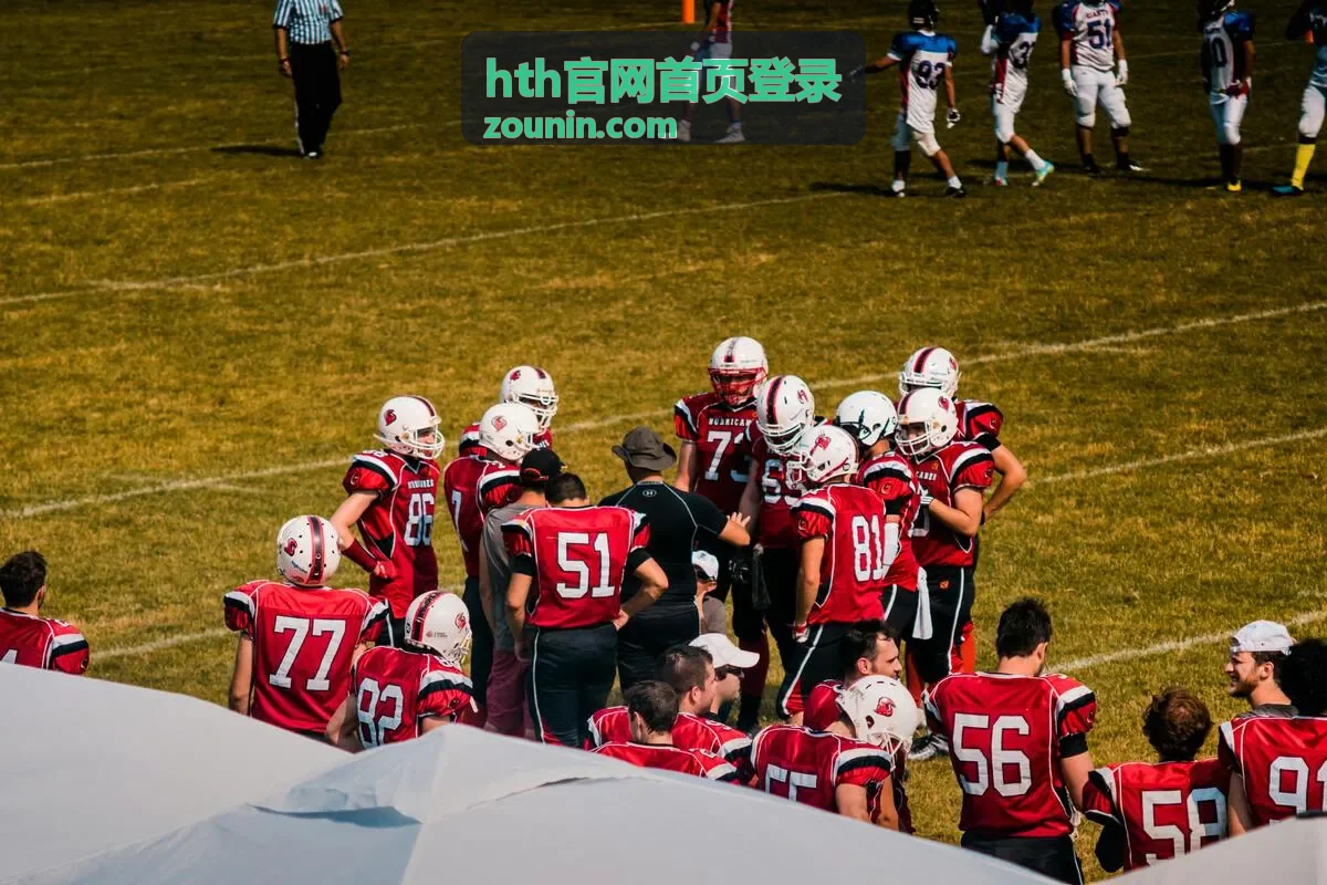hth官网首页登录设置与安全板块示意